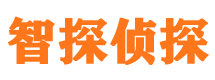 鹿城市私家侦探